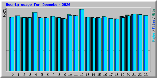 Hourly usage for December 2020