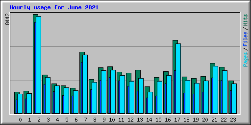 Hourly usage for June 2021