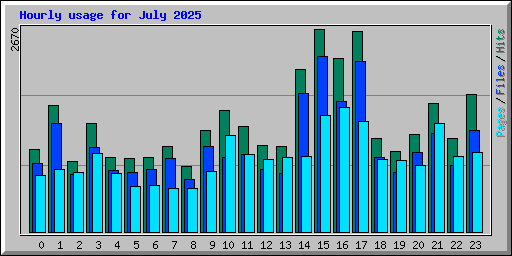 Hourly usage for July 2025